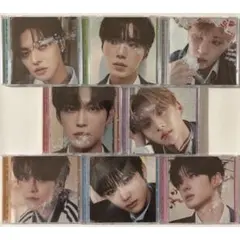 ALD1 EUPHORIA JEWEL CASE 開封済み CD 8点