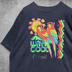 CAEO スーベニア Tシャツ 南国 リゾート 鳥 カラフル オウム 古着