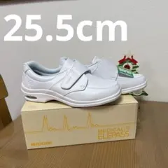 Item thumbnail for item 897f0a9c-d193-4651-a8d9-644afb4510d9