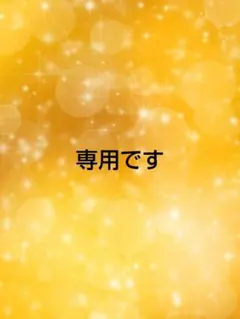 テニスラケットケース　YONEX