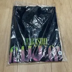 新しい学校のリーダーズ コーチェラ Tシャツ Lサイズ トモ@LA on X: 