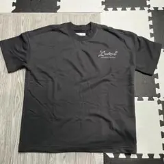Hollister Tシャツ Mサイズ