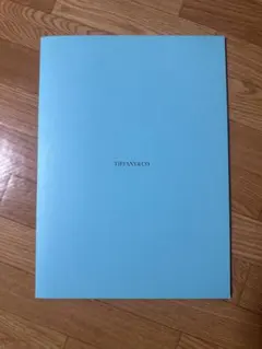 Tiffany 婚姻届のサムネイル