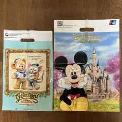ディズニー ショッパー ショップ袋 お土産袋 ディズニーランド 香港 上海 2枚
