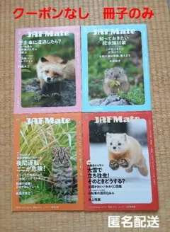 Item thumbnail for item 3489ca99-dd96-497d-906f-8898e1804c35