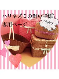 ★ハリネズミの飼い主様　オーダー専用ページ