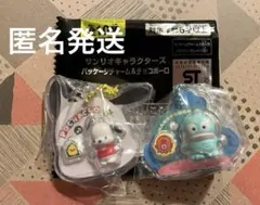サンリオキャラクターズ　パッケージチャーム　ポチャッコ＆ハンギョドン　２個セット