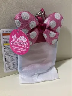 《新品未使用》カードホルダー　ミニーのファンダーランド パルパルーザ ミニパル