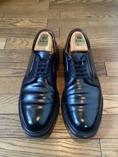 超美品【Alden 】#9901プレーントゥ　8 1/2 D オールデンのサムネイル