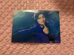 ミュージカル忍たま乱太郎 忍ミュ 15弾学園祭SS席S席 ブロマイド 綾部喜八郎