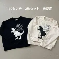 恐竜 トレーナー 100