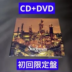LOVE&VICE DVD付き 限定盤 - メルカリ