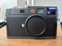 2026年最新】ライカm 220の人気アイテム - メルカリ