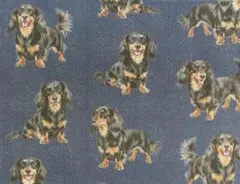 【ゆきちゃん限定】X2553-1 ダックス ブラックタン デニム紺 生地 1m