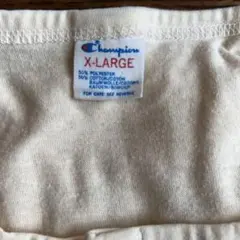 ヴィンテージ　チャンピオンTシャツ USA製トリコタグ
