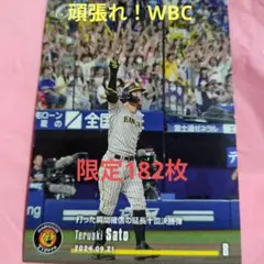 Item thumbnail for item 00374370-4a53-4b19-bc33-5155fb14ee77