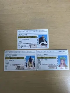 원피스 ONE PIECE 카드 운전면허증 곰 드레이크 보니 3장