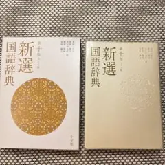 新選国語辞典 第十版