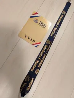 Yokohama F. Marinos VVIPパス 2025