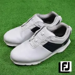 Item thumbnail for item e67c5169-49d3-419c-8b72-078b3de5a4c2