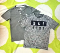 アバクロ abercrombie kids 110cm相当 Tシャツ2枚セット