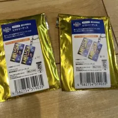 茨城ロボッツ ビクトリーキーホルダー #34 #11