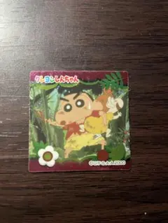 n*a様 クレヨンしんちゃん　映画クレヨンしんちゃん　嵐を呼ぶジャングル　201