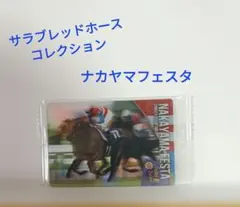 サラブレッドホースコレクション ナカヤマフェスタ