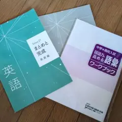 ポチ太様専用　Sirius 21 英語 発展編 国語力高める語彙ワークブック
