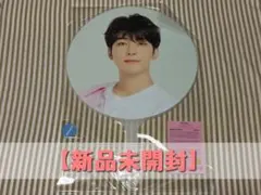 SEVENTEEN ウォヌ CARAT LAND 2023 うちわ