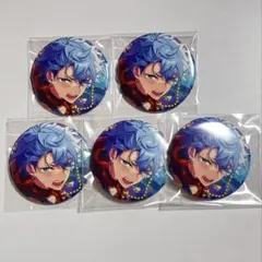 あんスタ コレクション 缶バッジ 瀬名泉 2024 idol