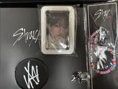 straykids マルチ缶ケース　ミラー　バッチ