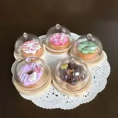 ミニチュア　ドーナツケーキ5種セット