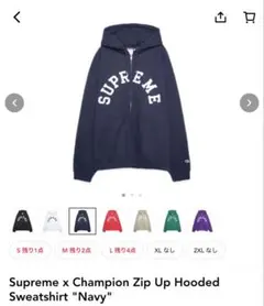 Supreme Champion ZipUp Hooded Sweatshirt