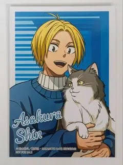 朝倉シン】サカモトデイズ アニメイト特典「猫と戯れver.」ブロマイド 