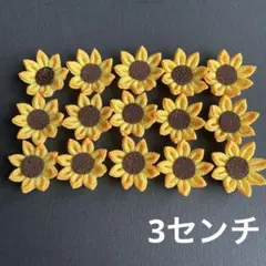 りゅうき様 リクエスト 2点 まとめ商品 - メルカリ