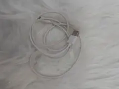 ホワイト Lightningケーブル