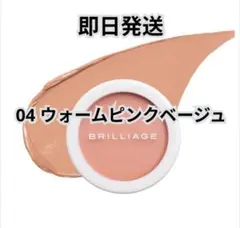 BRILLIAGE カモフラージュ コンシーラーチーク - 03 ブラシセット