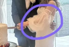 ドレスアレンジ 取り外し袖 付け袖 つけ袖 アームカバー 結婚式お色直し 前撮り
