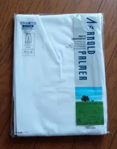 レナウン アーノルドパーマ ロングパンツ 肌着 Lサイズ ホワイト ズボン下