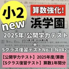 即日発送！浜学園 算数 復習テスト 2025年　公開学力テスト Sクラス　小2