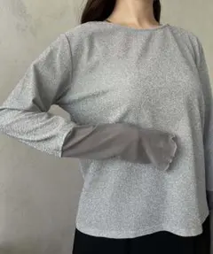prose verse 袖シアーボートネックラメトップス
