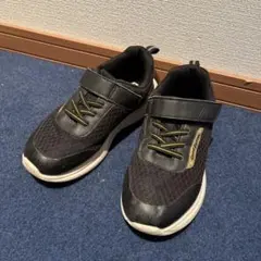 スニーカー　20.5