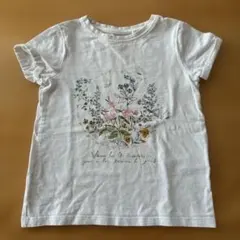 NEXT 花柄プリント ホワイト Tシャツ 100cm相当