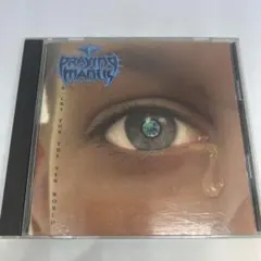 Praying Mantis A Cry For The New World