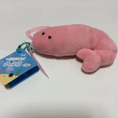 つぶらな瞳の水族館 ぬいぐるみ　マスコット　ストラップ　えび　ボールチェーン