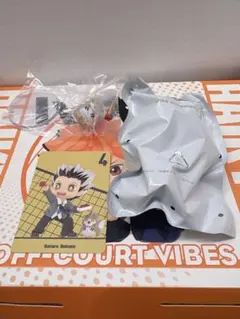 ハイキュー　ポップマート　木兎光太郎　POPMART