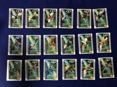 名前無記名] 甲虫王者ムシキング カード優勝グレイテストプレイヤー