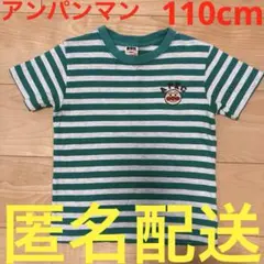 アンパンマン　刺繍付きストライプ半袖Tシャツ　ボーダー　シンプル　110cm男女