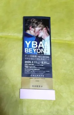 国立新美術館　YBA & BEYOND テート美術館　招待券　チケット1枚のサムネイル